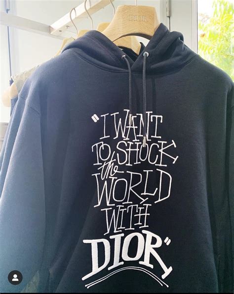 i want to shock the world with dior hoodie price|Dior Shock the World Hoodie .